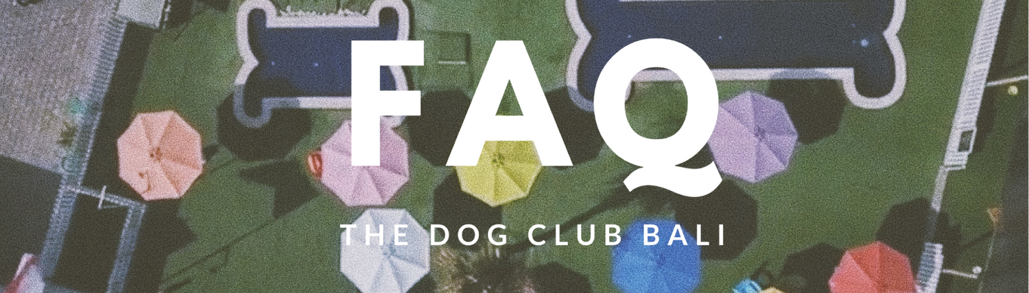 FAQs of The Dog Club Bali. All the questions you may have while planning your dog holiday